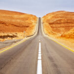 designer 1114 Designer 1113