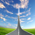 designer 1102 Designer 1101