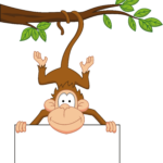 designer 1226 Designer 1225