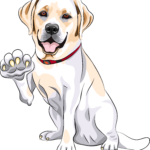 designer 1232 Designer 1231