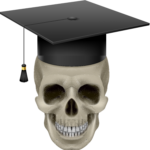 designer 1244 Designer 1243