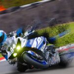 designer 1454 Designer 1453