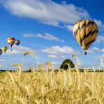 designer 1470 Designer 1469