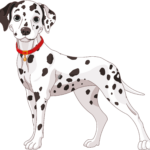 designer 1502 Designer 1501