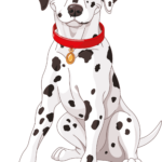 designer 1504 Designer 1503